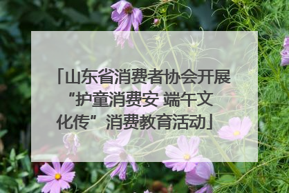 山东省消费者协会开展 “护童消费安 端午文化传”消费教育活动