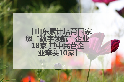 山东累计培育国家级“数字领航”企业18家 其中民营企业牵头10家