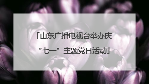 山东广播电视台举办庆“七一”主题党日活动