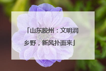 山东胶州：文明润乡野，新风扑面来