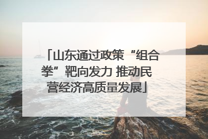 山东通过政策“组合拳”靶向发力 推动民营经济高质量发展