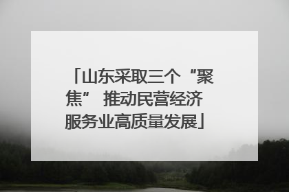 山东采取三个“聚焦” 推动民营经济服务业高质量发展