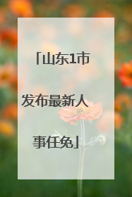 山东1市发布最新人事任免