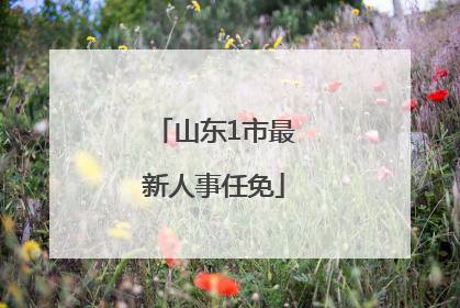 山东1市最新人事任免