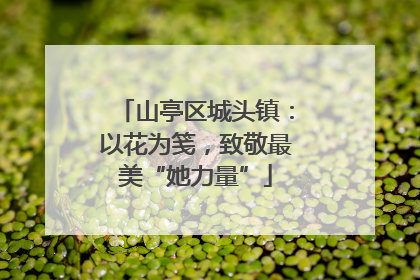 山亭区城头镇：以花为笺，致敬最美“她力量”