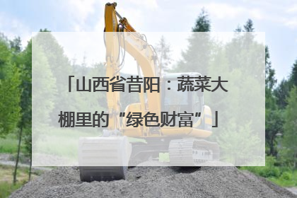山西省昔阳：蔬菜大棚里的“绿色财富”