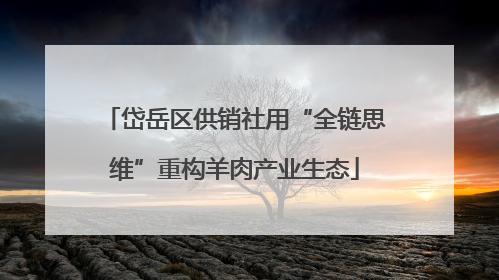 岱岳区供销社用“全链思维”重构羊肉产业生态