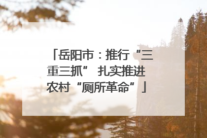 岳阳市：推行“三重三抓” 扎实推进农村“厕所革命”