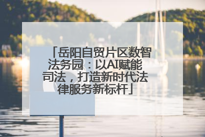 岳阳自贸片区数智法务园：以AI赋能司法，打造新时代法律服务新标杆