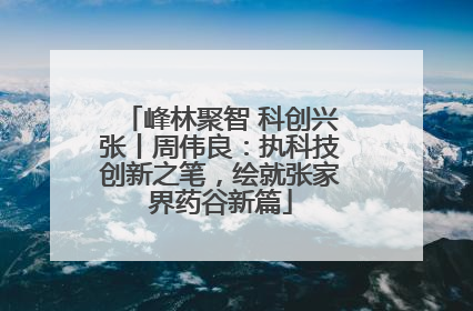 峰林聚智 科创兴张丨周伟良：执科技创新之笔，绘就张家界药谷新篇
