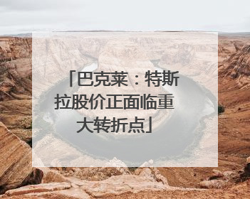 巴克莱：特斯拉股价正面临重大转折点