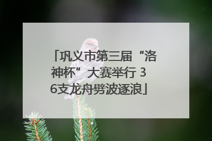 巩义市第三届“洛神杯”大赛举行 36支龙舟劈波逐浪