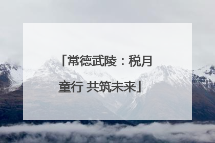 常德武陵：税月童行 共筑未来