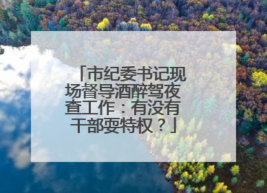 市纪委书记现场督导酒醉驾夜查工作：有没有干部耍特权？