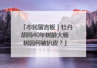 市民留言板｜牡丹胡同40年树龄大杨树因何被扒皮？