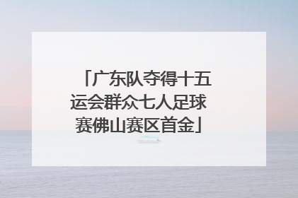 广东队夺得十五运会群众七人足球赛佛山赛区首金