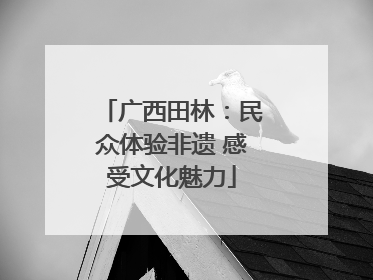广西田林：民众体验非遗 感受文化魅力