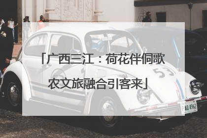 广西三江：荷花伴侗歌 农文旅融合引客来