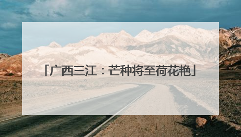 广西三江：芒种将至荷花艳