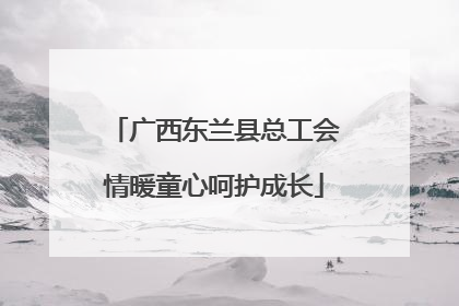 广西东兰县总工会情暖童心呵护成长