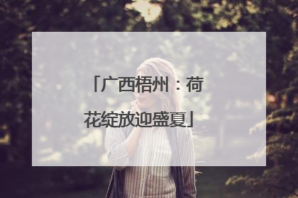 广西梧州：荷花绽放迎盛夏