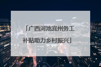 广西河池宜州务工补贴助力乡村振兴