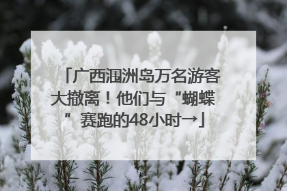 广西涠洲岛万名游客大撤离！他们与“蝴蝶”赛跑的48小时→