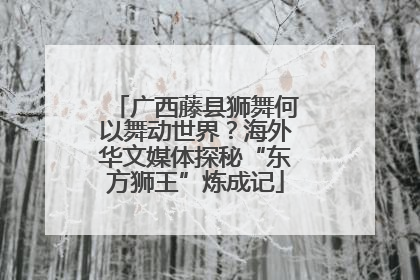 广西藤县狮舞何以舞动世界？海外华文媒体探秘“东方狮王”炼成记