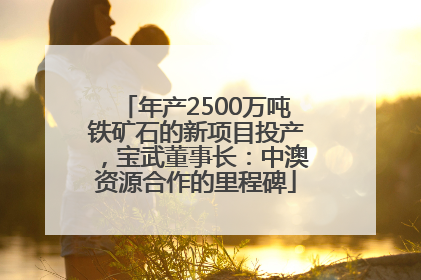 年产2500万吨铁矿石的新项目投产，宝武董事长：中澳资源合作的里程碑