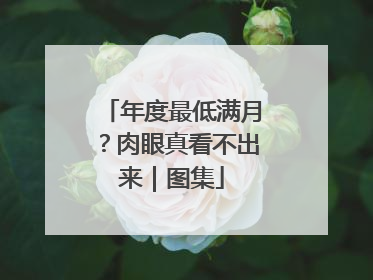 年度最低满月？肉眼真看不出来｜图集