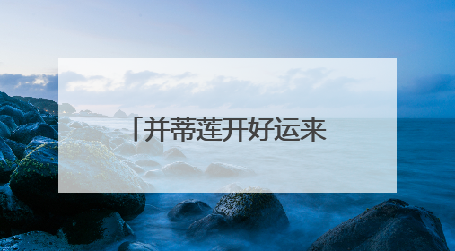 并蒂莲开好运来 “星空牡丹”绽异彩 洪湖公园“国际荷花派对”三天迎客六万