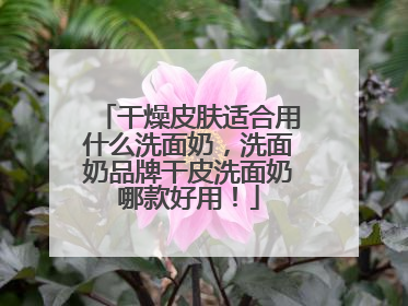 干燥皮肤适合用什么洗面奶，洗面奶品牌干皮洗面奶哪款好用！
