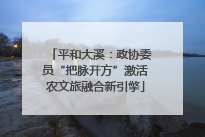 平和大溪：政协委员“把脉开方”激活农文旅融合新引擎