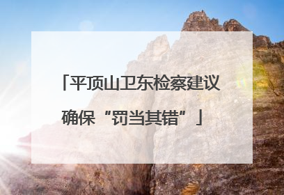 平顶山卫东检察建议确保“罚当其错”