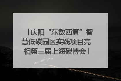 庆阳“东数西算”智慧低碳园区实践项目亮相第三届上海碳博会