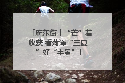 府东街丨“芒”着收获 看菏泽“三夏”好“丰景”