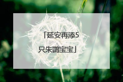 延安再添5只朱鹮宝宝