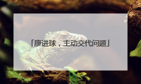 廖进球，主动交代问题