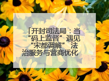 开封司法局：当“码上监督”遇见“宋都调解” 法治服务与营商优化双向赋能