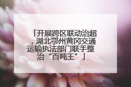 开展跨区联动治超，湖北鄂州黄冈交通运输执法部门联手整治“百吨王”