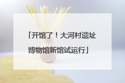 开馆了！大河村遗址博物馆新馆试运行