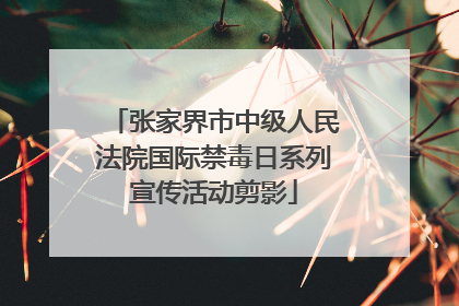 张家界市中级人民法院国际禁毒日系列宣传活动剪影