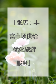 张店：丰富市场供给 优化旅游服务