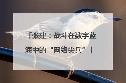 张建：战斗在数字蓝海中的“网络尖兵”