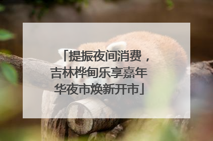 提振夜间消费，吉林桦甸乐享嘉年华夜市焕新开市