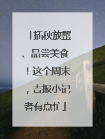 插秧放蟹、品尝美食！这个周末，吉报小记者有点忙