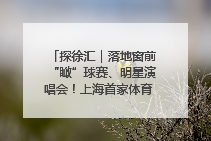 探徐汇｜落地窗前“瞰”球赛、明星演唱会！上海首家体育特色高端酒店亮相