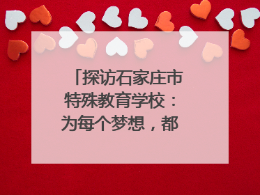 探访石家庄市特殊教育学校：为每个梦想，都插上“翅膀”