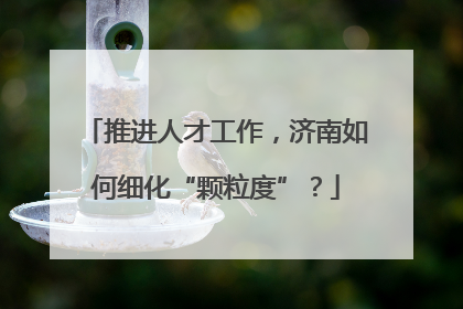 推进人才工作，济南如何细化“颗粒度”？