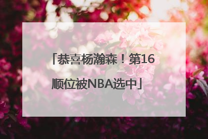 恭喜杨瀚森！第16顺位被NBA选中